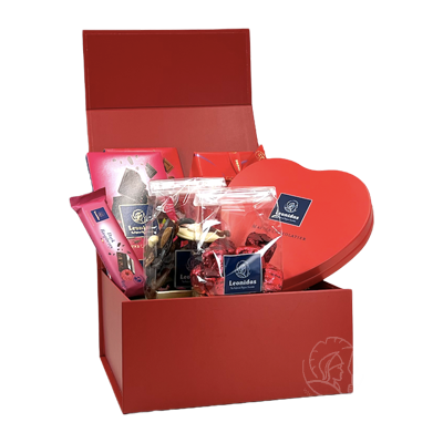 Leonidas Discovery Box Passionate