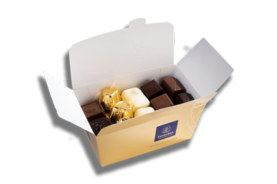 Leonidas Ballotin Favoriete Pralines Assortiment 500gr B2B